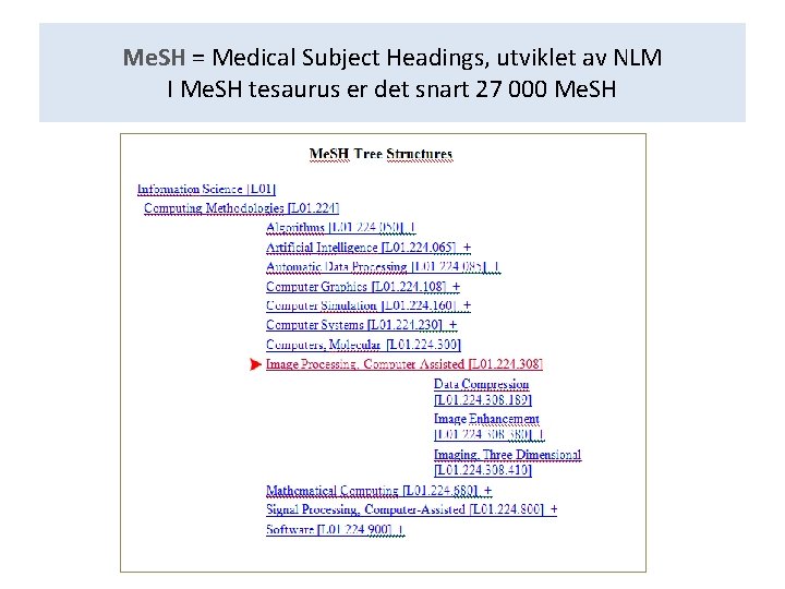 Me. SH = Medical Subject Headings, utviklet av NLM I Me. SH tesaurus er
