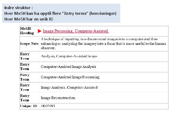 Indre struktur : Hver Me. SH kan ha opptil flere ”Entry terms” (henvisninger) Hver