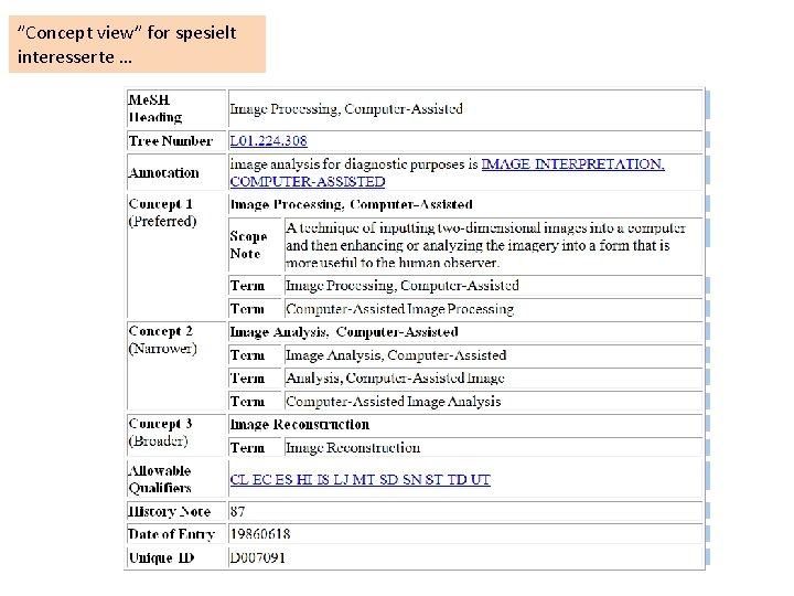 ”Concept view” for spesielt interesserte … 