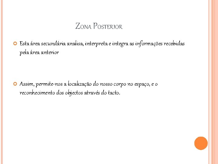 ZONA POSTERIOR Esta área secundária analisa, interpreta e integra as informações recebidas pela área