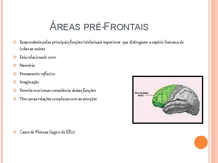 ÁREAS PRÉ-FRONTAIS Responsáveis pelas principais funções intelectuais superiores que distinguem a espécie humana de