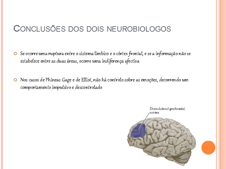 CONCLUSÕES DOIS NEUROBIOLOGOS Se ocorre uma ruptura entre o sistema límbico e o córtex