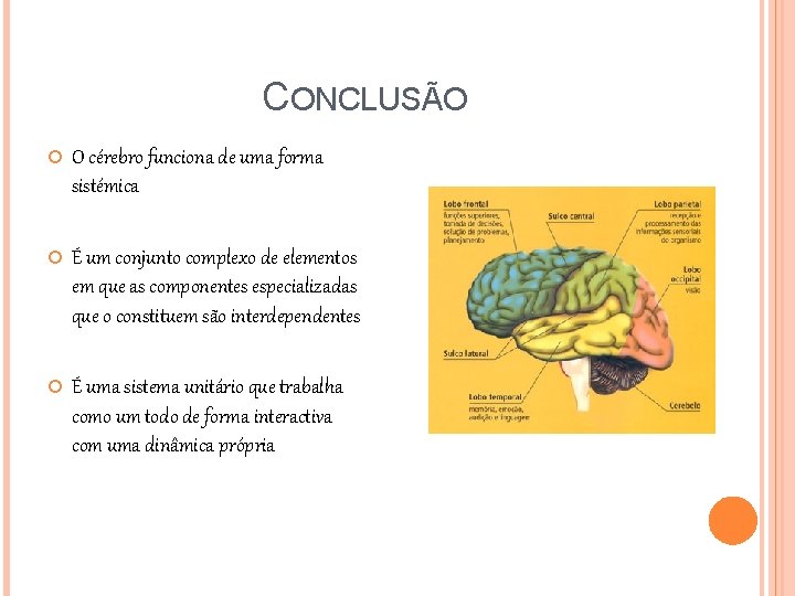 CONCLUSÃO O cérebro funciona de uma forma sistémica É um conjunto complexo de elementos