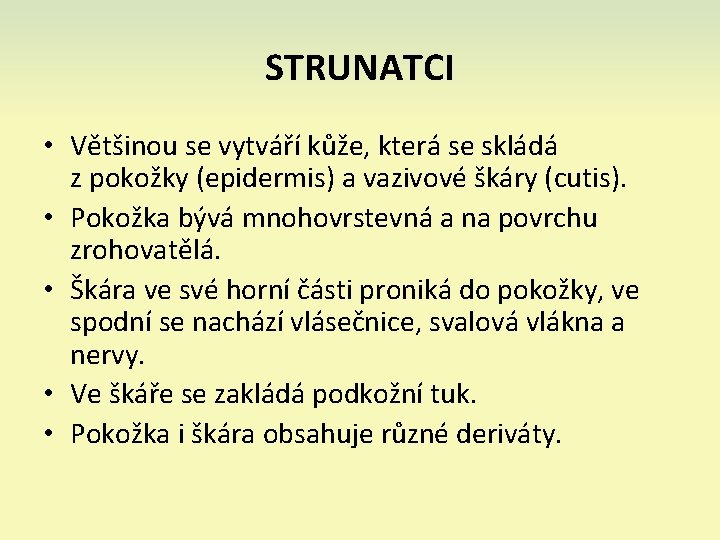 STRUNATCI • Většinou se vytváří kůže, která se skládá z pokožky (epidermis) a vazivové