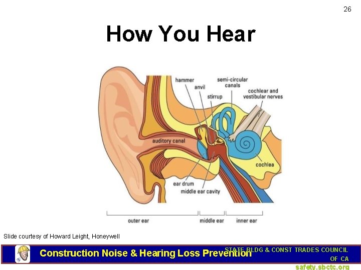 26 How You Hear Slide courtesy of Howard Leight, Honeywell STATE BLDG & CONST