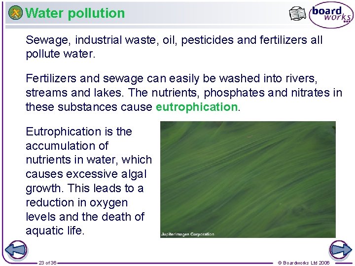 Water pollution Sewage, industrial waste, oil, pesticides and fertilizers all pollute water. Fertilizers and