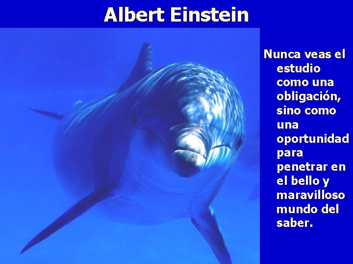 Albert Einstein Nunca veas el estudio como una obligación, sino como una oportunidad para