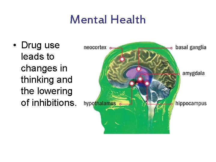 Mental Health • Drug use leads to changes in thinking and the lowering of