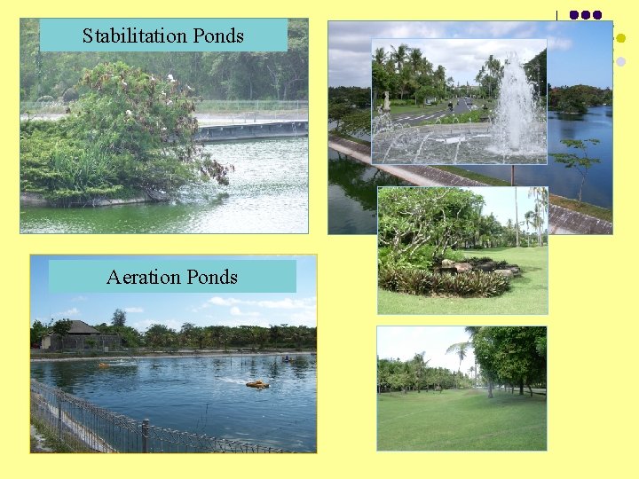 Stabilitation Ponds Aeration Ponds 