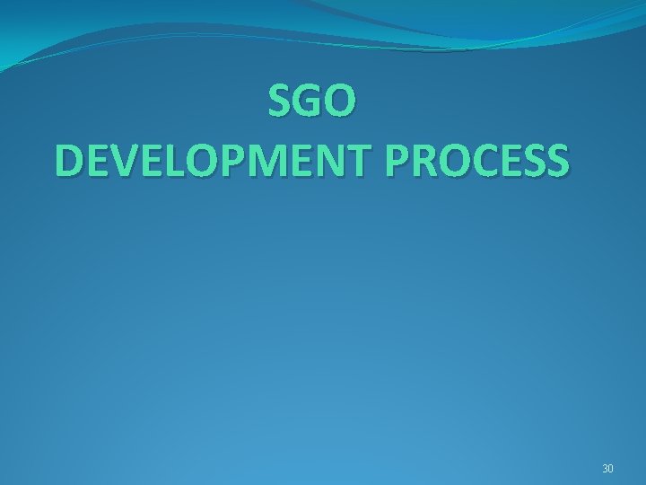 SGO DEVELOPMENT PROCESS 30 