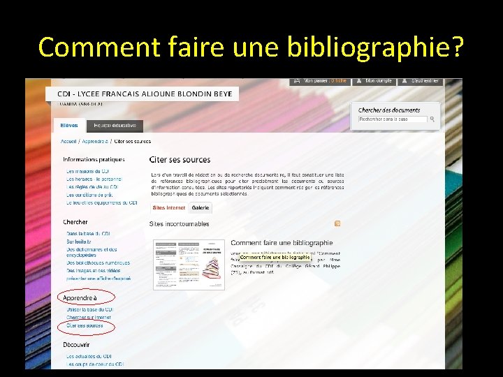 Comment faire une bibliographie? 