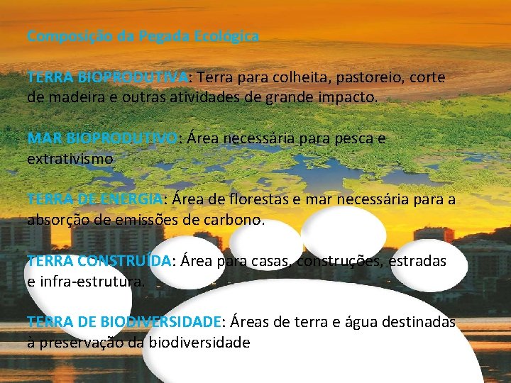 Composição da Pegada Ecológica TERRA BIOPRODUTIVA: Terra para colheita, pastoreio, corte de madeira e