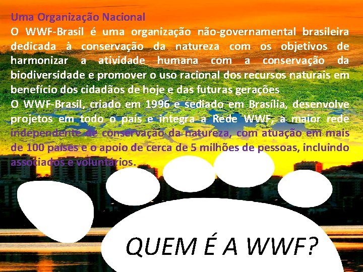 Uma Organização Nacional O WWF-Brasil é uma organização não-governamental brasileira dedicada à conservação da