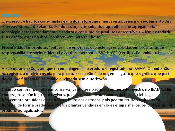 HÁBITOS O excesso de hábitos consumistas é um dos fatores que mais contribui para