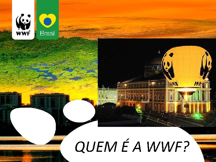 QUEM É A WWF? 