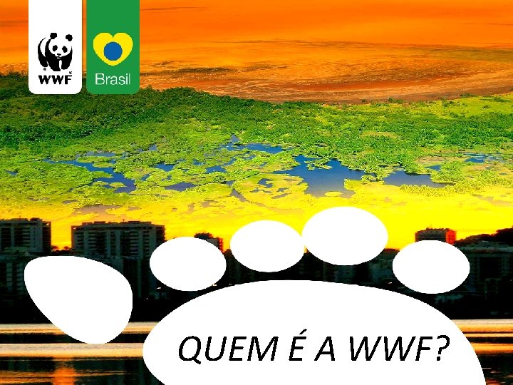 QUEM É A WWF? 