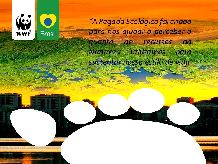 “A Pegada Ecológica foi criada para nos ajudar a perceber o quanto de recursos