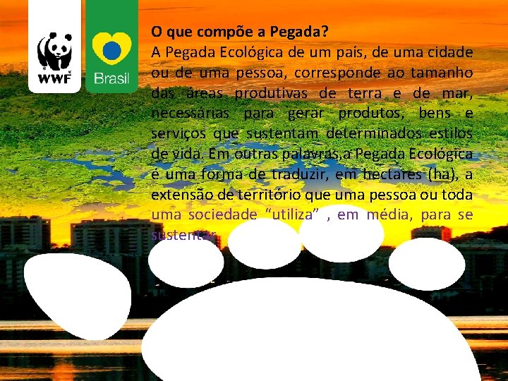 O que compõe a Pegada? A Pegada Ecológica de um país, de uma cidade