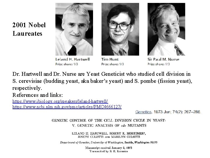 2001 Nobel Laureates Dr. Hartwell and Dr. Nurse are Yeast Geneticist who studied cell