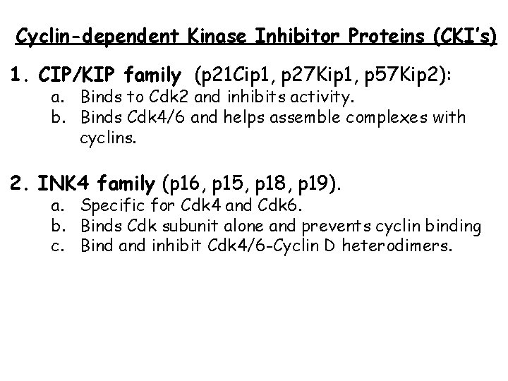 Cyclin-dependent Kinase Inhibitor Proteins (CKI’s) 1. CIP/KIP family (p 21 Cip 1, p 27