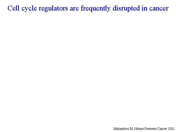 Cell cycle regulators are frequently disrupted in cancer Malumbres M, Nature Reviews Cancer 2001