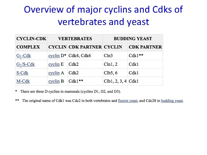 Overview of major cyclins and Cdks of vertebrates and yeast 