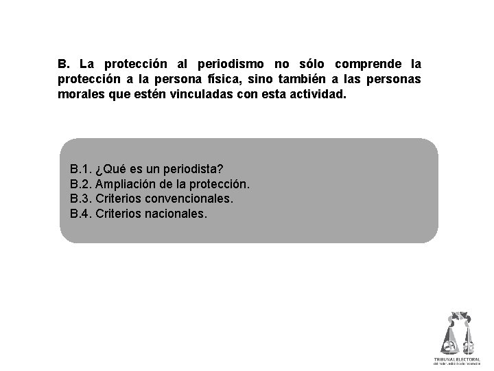 B. La protección al periodismo no sólo comprende la protección a la persona física,