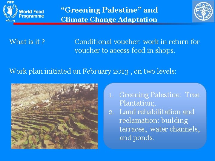 “Greening Palestine” and Climate Change Adaptation What is it ? Conditional voucher: work in