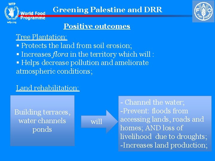 Greening Palestine and DRR Positive outcomes Tree Plantation: § Protects the land from soil