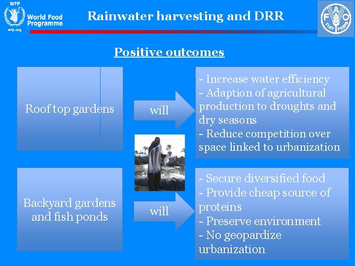 Rainwater harvesting and DRR Positive outcomes Roof top gardens Backyard gardens and fish ponds