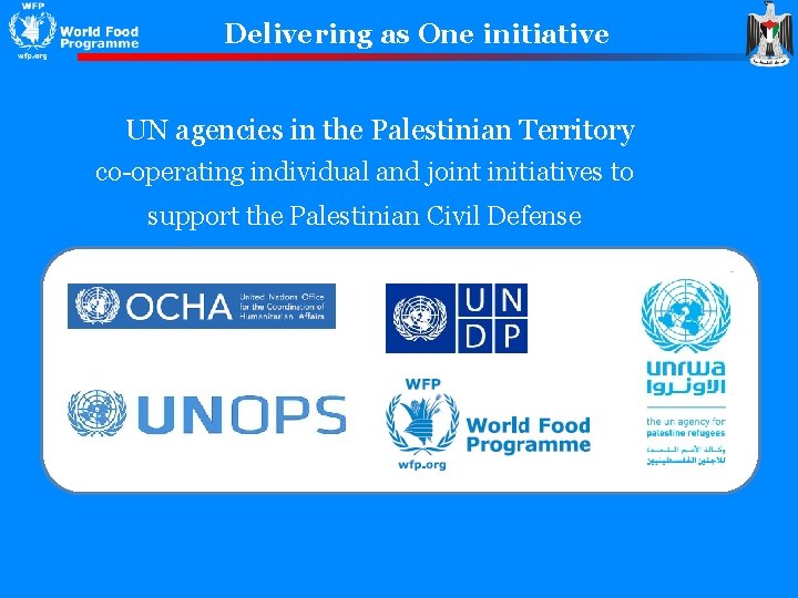 Delivering as One initiative UN agencies in the Palestinian Territory co-operating individual and joint