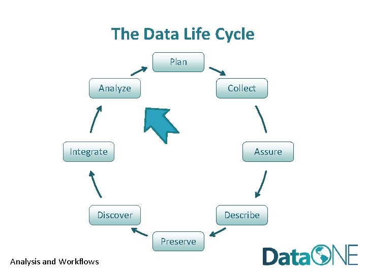 The Data Life Cycle Plan Collect Analyze Integrate Assure Discover Describe Preserve Analysis and