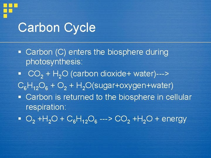 Carbon Cycle § Carbon (C) enters the biosphere during photosynthesis: § CO 2 +