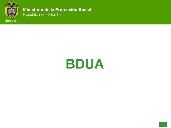 Ministerio de la Protección Social República de Colombia BDUA 