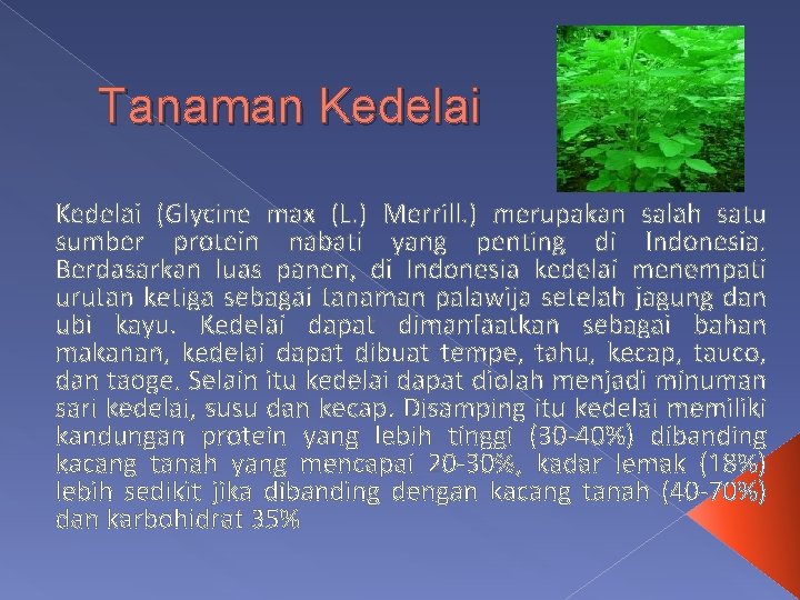 Tanaman Kedelai (Glycine max (L. ) Merrill. ) merupakan salah satu sumber protein nabati