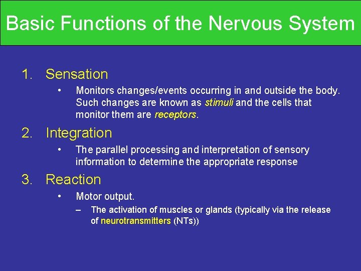 Basic Functions of the Nervous System 1. Sensation • Monitors changes/events occurring in and