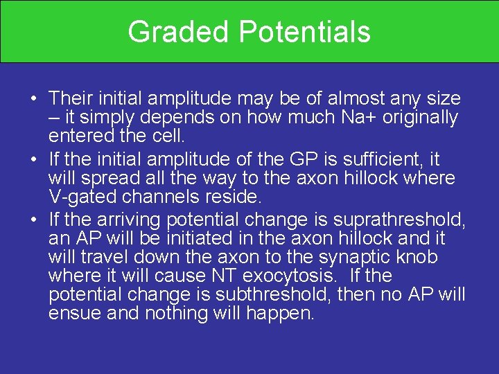 Graded Potentials • Their initial amplitude may be of almost any size – it
