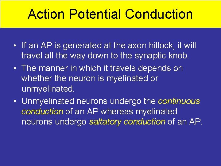 Action Potential Conduction • If an AP is generated at the axon hillock, it