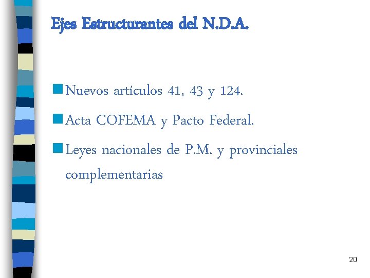 Ejes Estructurantes del N. D. A. n Nuevos artículos 41, 43 y 124. n