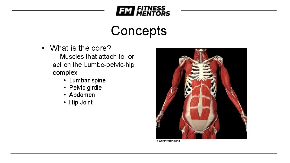Concepts • What is the core? – Muscles that attach to, or act on