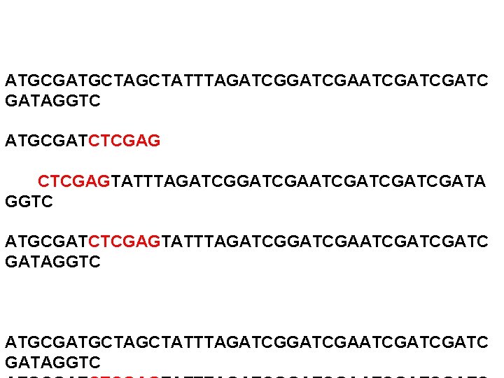 ATGCGATGCTATTTAGATCGAATCGATC GATAGGTC ATGCGATCTCGAGTATTTAGATCGAATCGATCGATA GGTC ATGCGATCTCGAGTATTTAGATCGAATCGATC GATAGGTC ATGCGATGCTATTTAGATCGAATCGATC GATAGGTC 