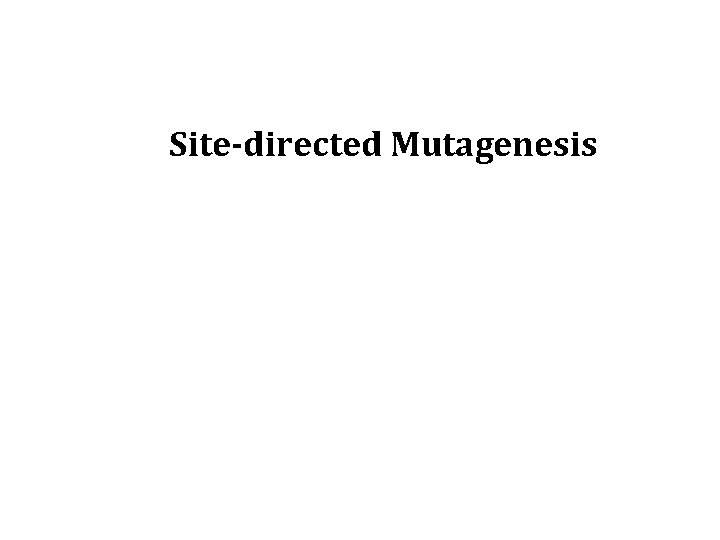 Site-directed Mutagenesis 