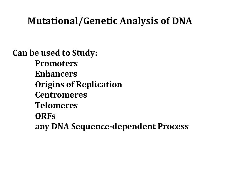 Mutational/Genetic Analysis of DNA Can be used to Study: Promoters Enhancers Origins of Replication