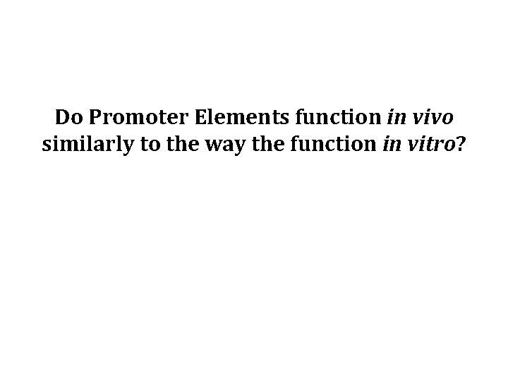Do Promoter Elements function in vivo similarly to the way the function in vitro?