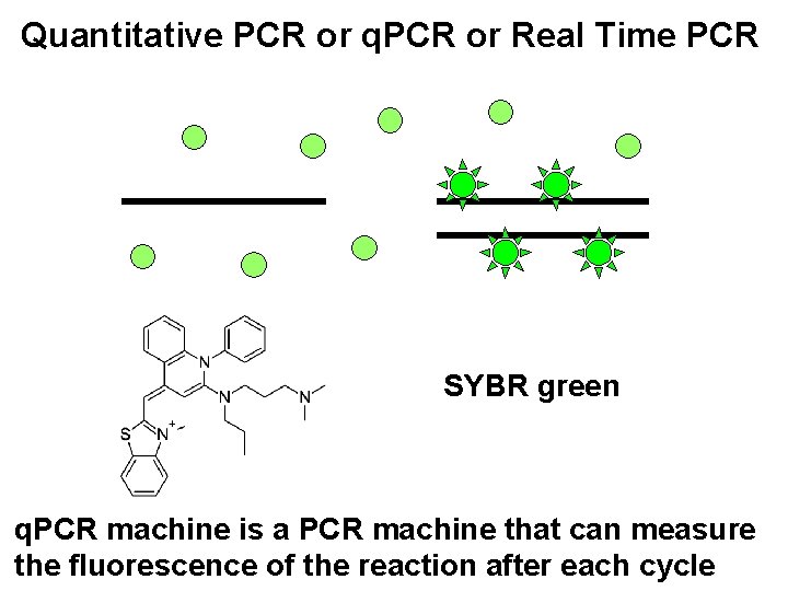 Quantitative PCR or q. PCR or Real Time PCR SYBR green q. PCR machine