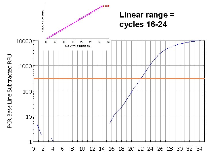 Linear range = cycles 16 -24 56 