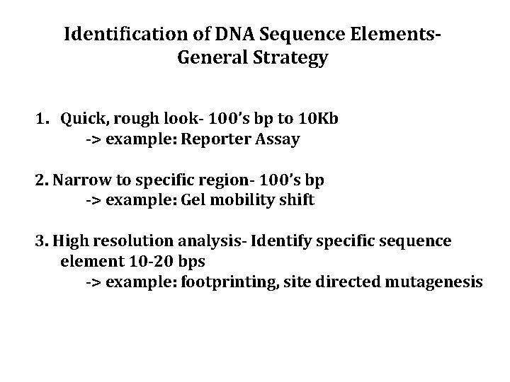 Identification of DNA Sequence Elements. General Strategy 1. Quick, rough look- 100’s bp to