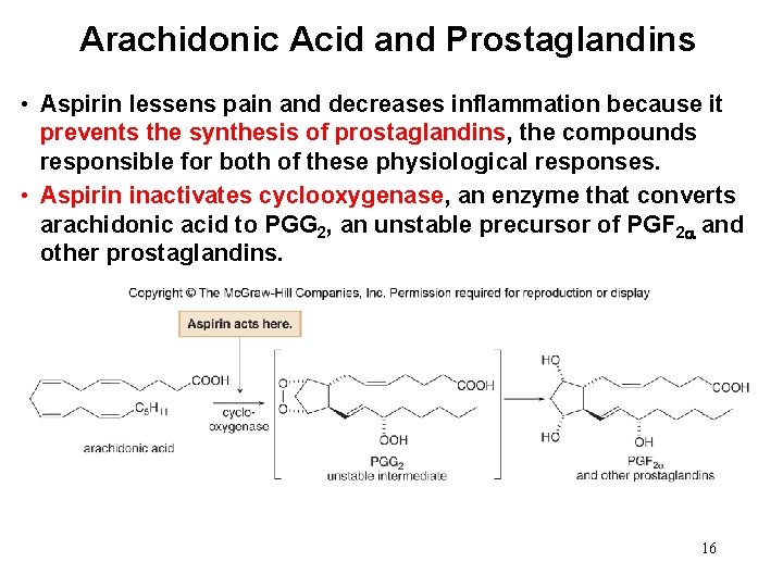 Arachidonic Acid and Prostaglandins • Aspirin lessens pain and decreases inflammation because it prevents