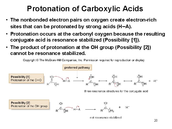 Protonation of Carboxylic Acids • The nonbonded electron pairs on oxygen create electron-rich sites