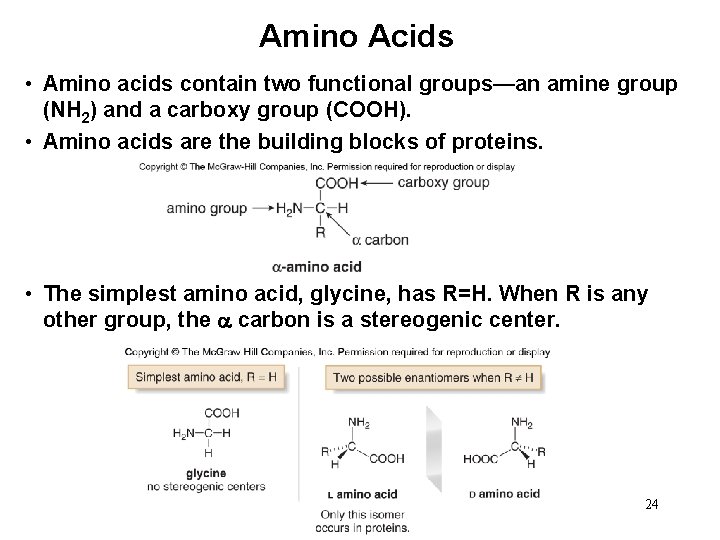 Amino Acids • Amino acids contain two functional groups—an amine group (NH 2) and